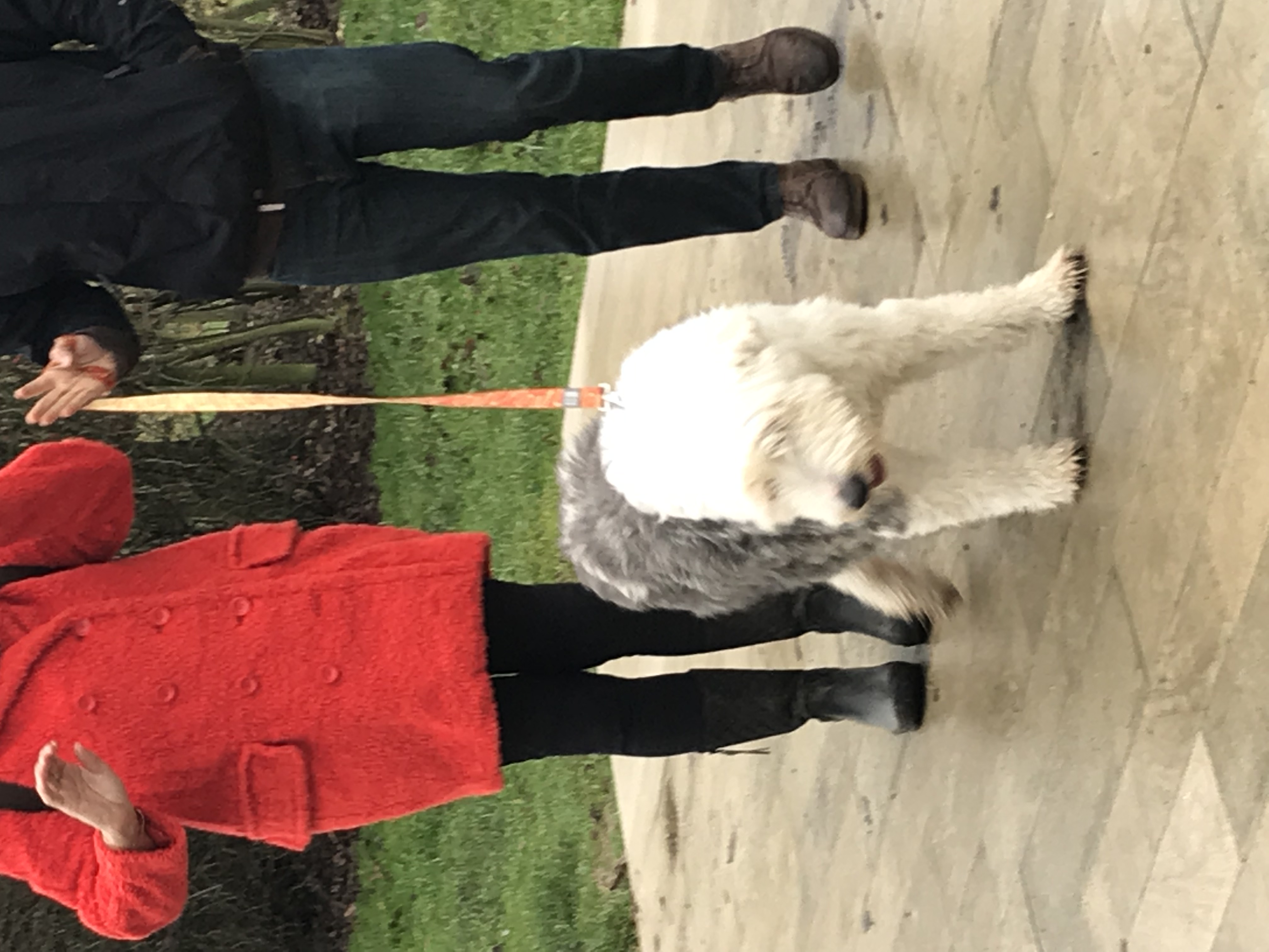 ./2018/15 - London/04 - Day 4/IMG_9382.jpg